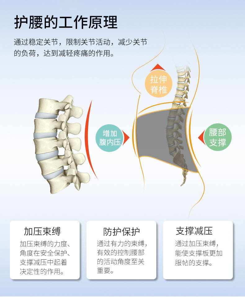 夏季專利護腰_常州普邦醫(yī)療設(shè)備